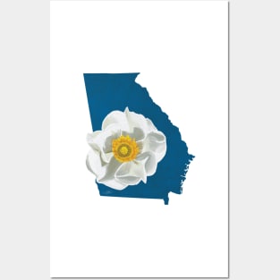 Georgia Cherokee Rose Posters and Art